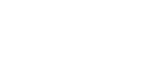 Logo white